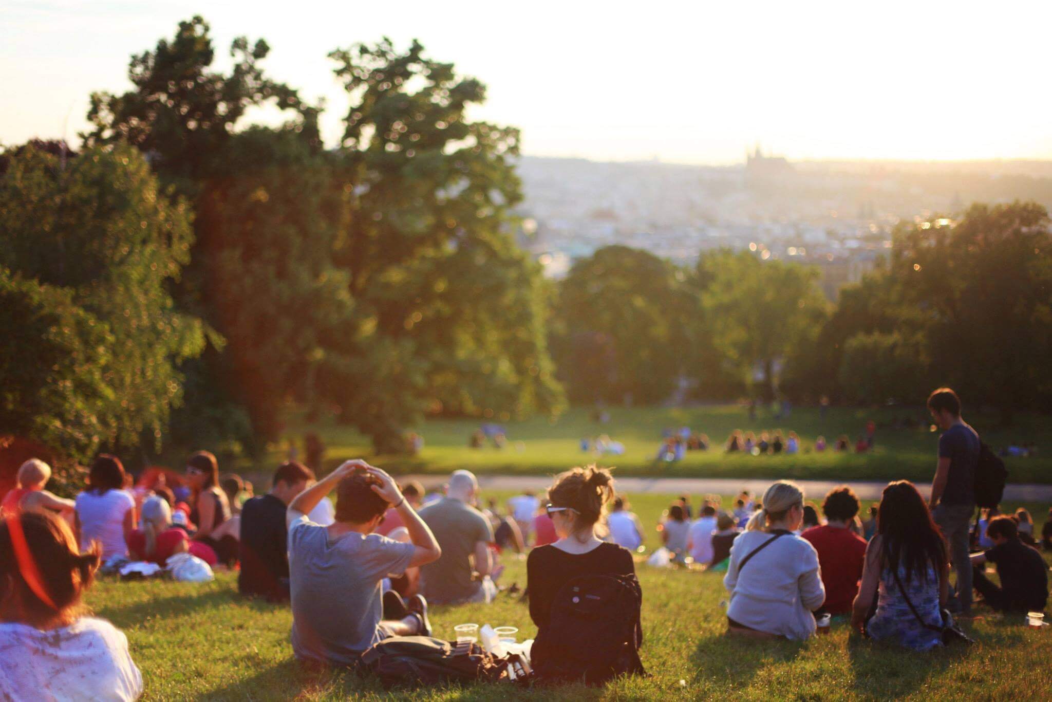 students sitting on the grass studying